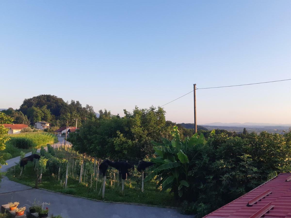 House Of The Red Poppy Villa Mirkovec Екстериор снимка
